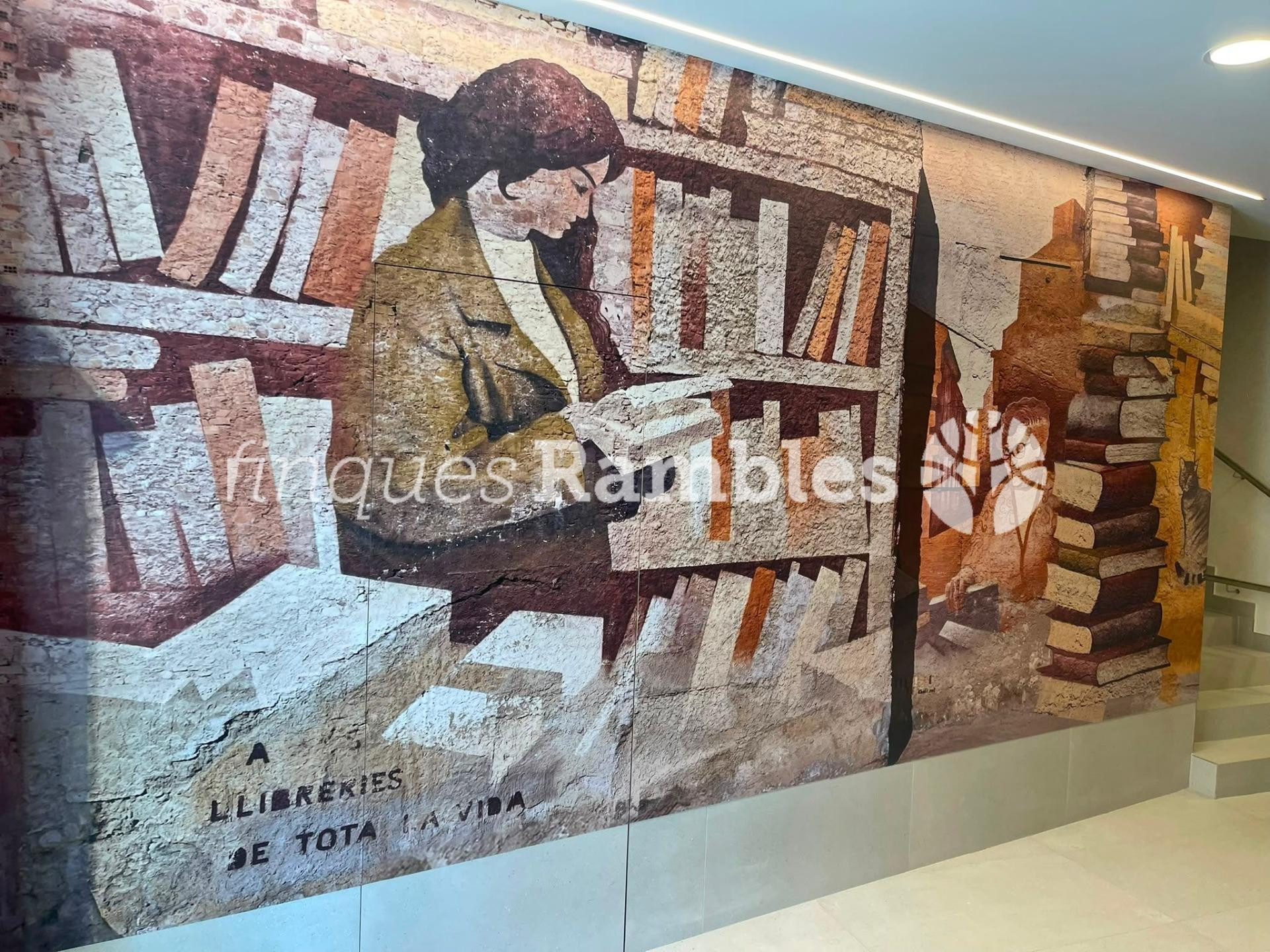 PRECIÓS PIS D´OBRA, A LA PLAÇA DEL REI! - foto 4