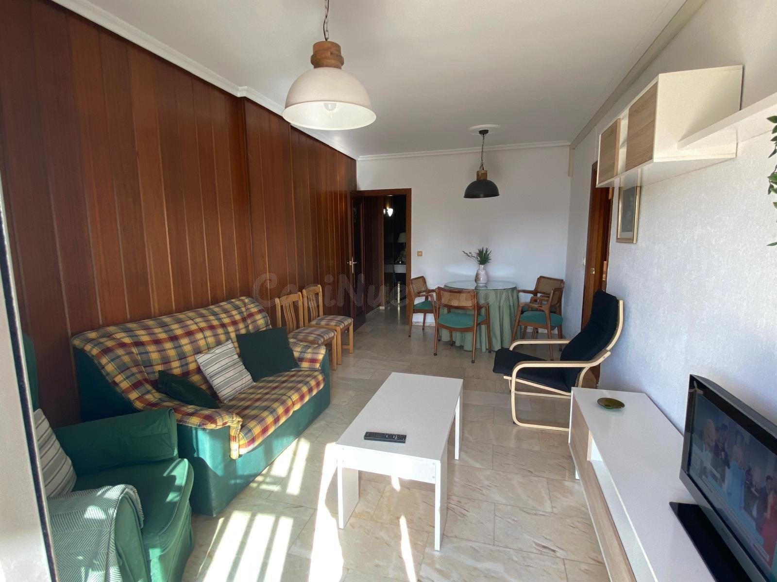 RAMÓN Y CAJAL JUNTO. ALQUILER DE VIVIENDA DE TEMPORADA PARA  - foto 2