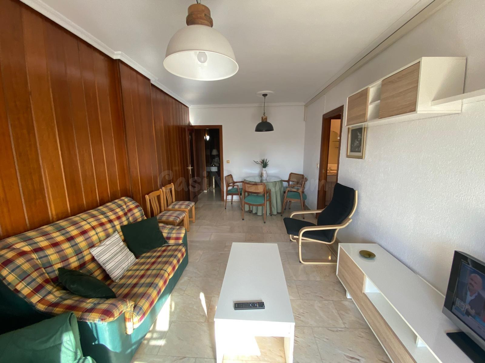 RAMÓN Y CAJAL JUNTO. ALQUILER DE VIVIENDA DE TEMPORADA PARA  - foto 4