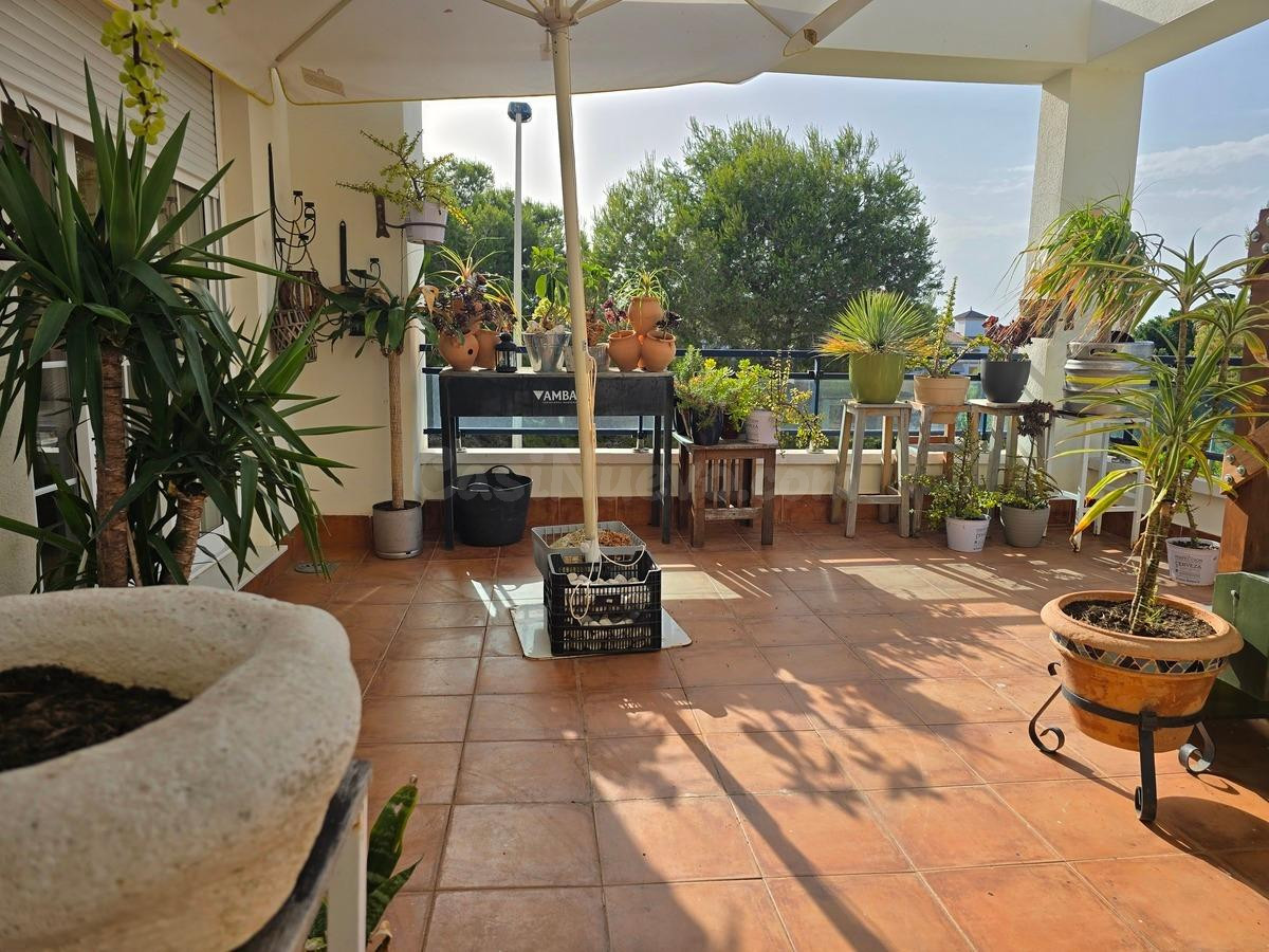ADOSADO EN LA MIL PALMERAS CON PISCINA Y A 700M DEL MAR