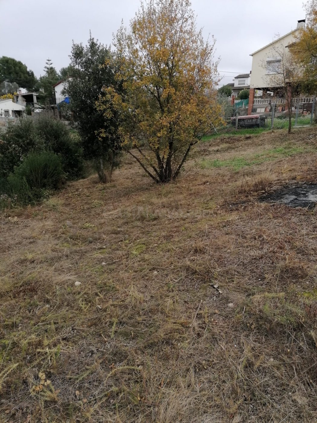 SOLAR URBANO APTO PARA 3 VIVIENDAS