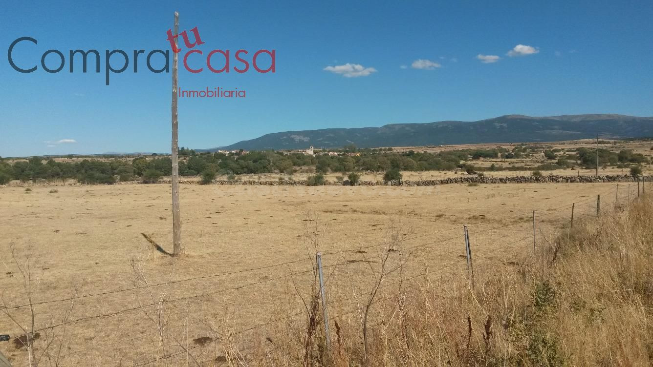 FINCA RUSTICA A LA VENTA EN LA ZONA ZONA BASARDILLA. - foto 3