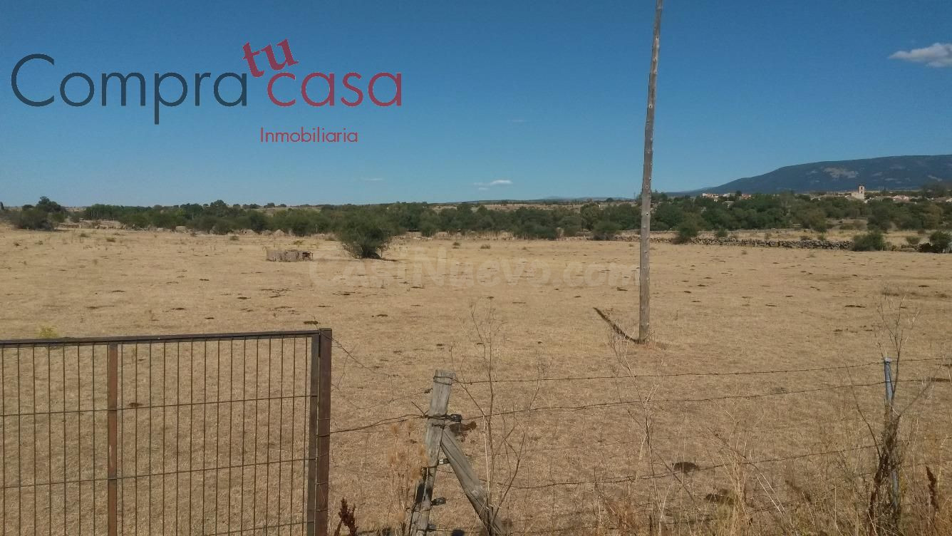 FINCA RUSTICA A LA VENTA EN LA ZONA ZONA BASARDILLA. - foto 4