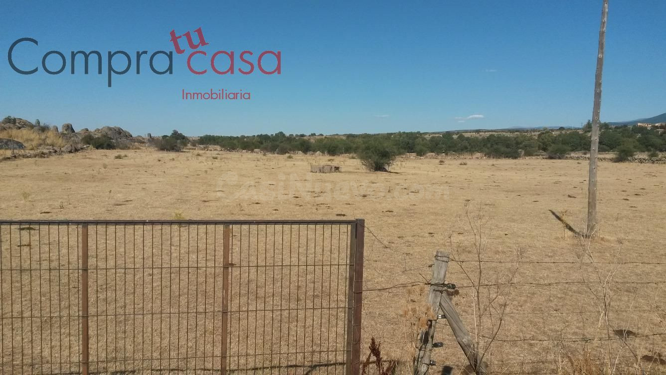 FINCA RUSTICA A LA VENTA EN LA ZONA ZONA BASARDILLA. - foto 5