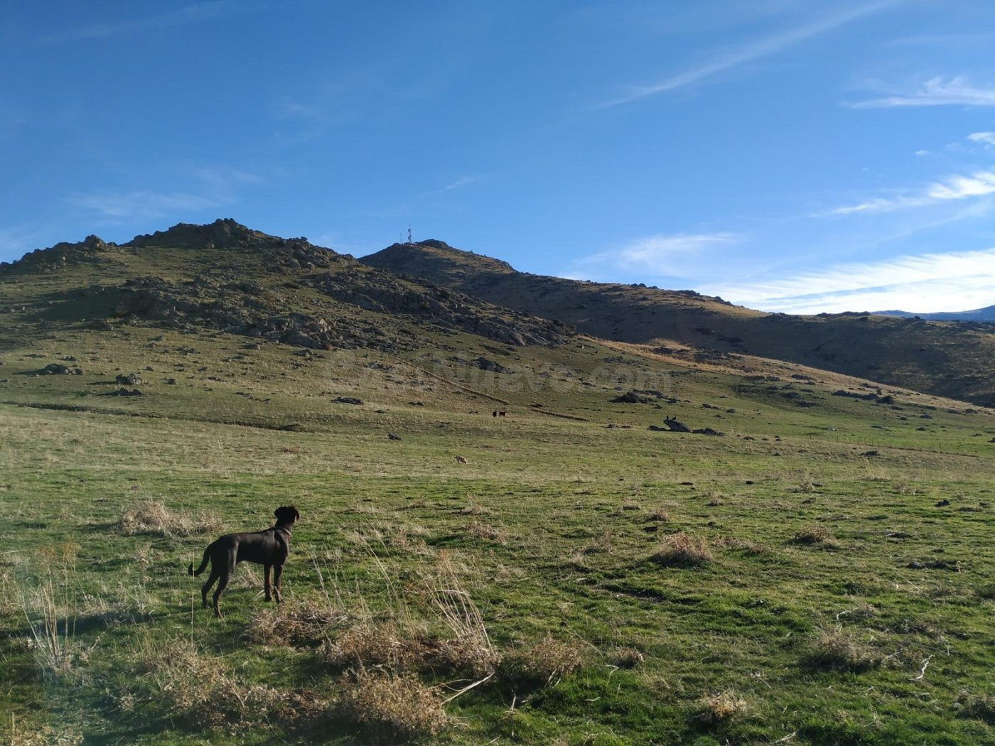 VENTA.-.FINCA RUSTICA.-.ATALAYA.-.PALAZUELOS