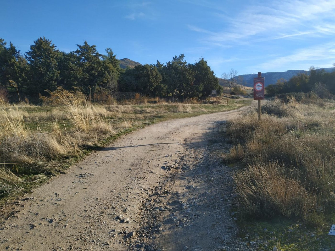 VENTA.-.FINCA RUSTICA.-.ATALAYA.-.PALAZUELOS - foto 4