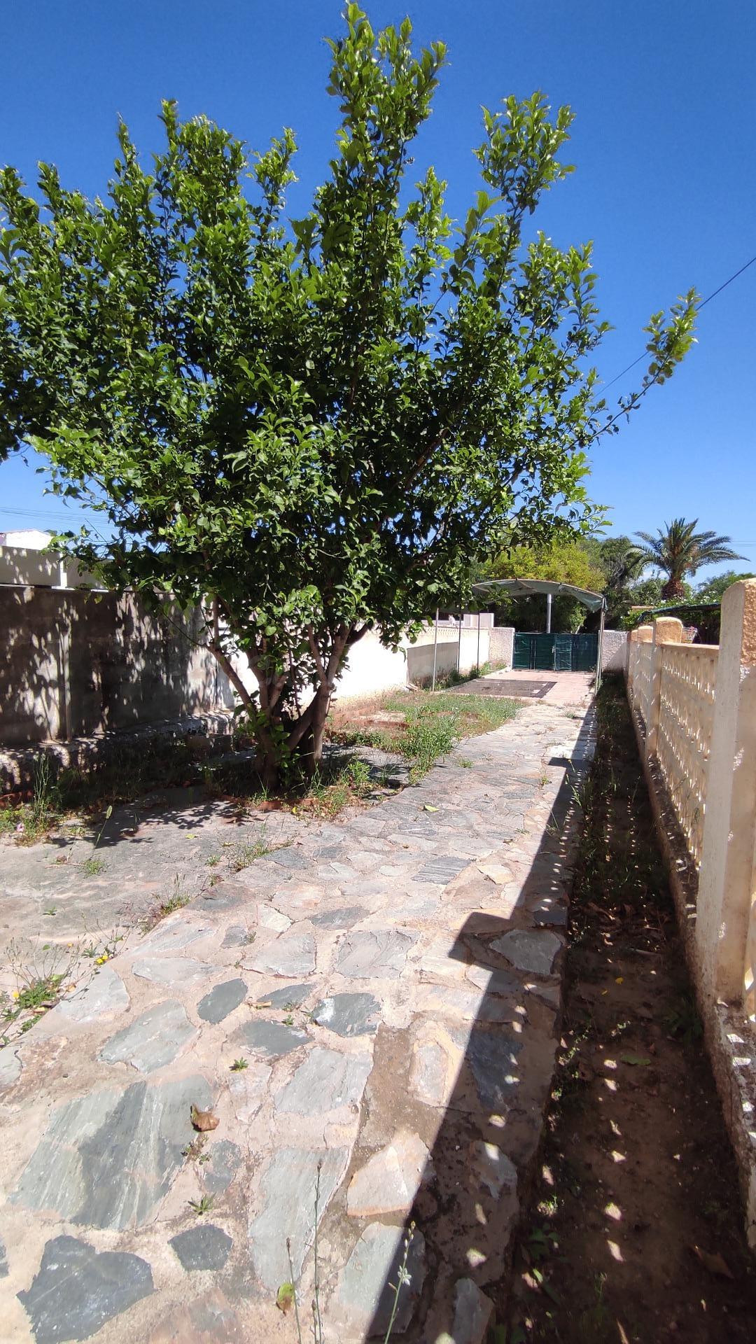 CHALET ADOSADO EN URB. LOS BALCONES - TORREVIEJA - foto 4