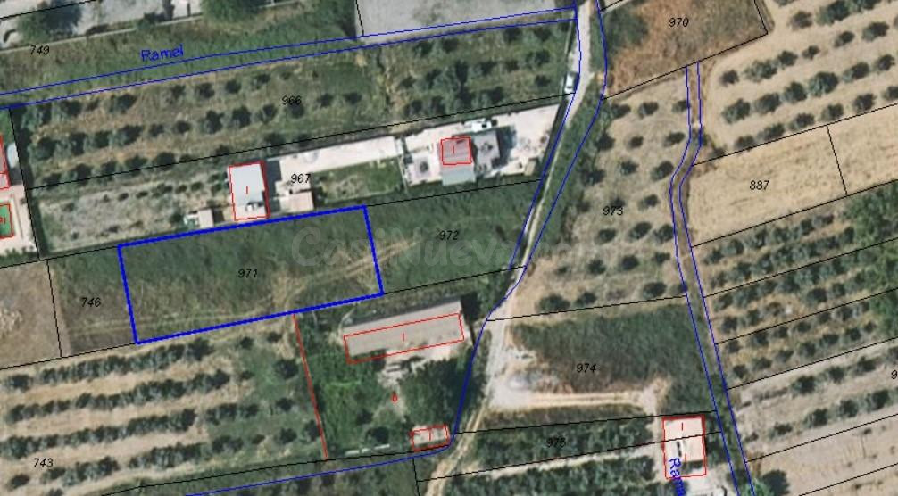 Finca de regadío con 792 metros cuadrados, la finca solo se  - foto 2