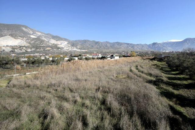 Finca de regadío con 792 metros cuadrados, la finca solo se  - foto 4