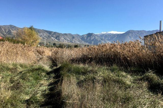 Finca de regadío con 792 metros cuadrados, la finca solo se  - foto 5