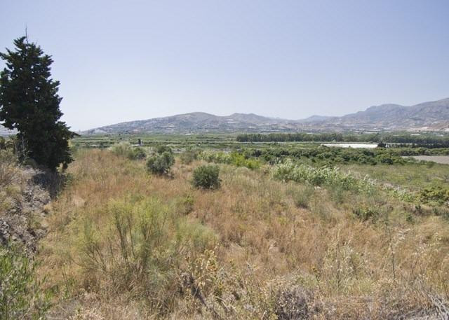 Finca Rústica en el Puntal de Jariz.
