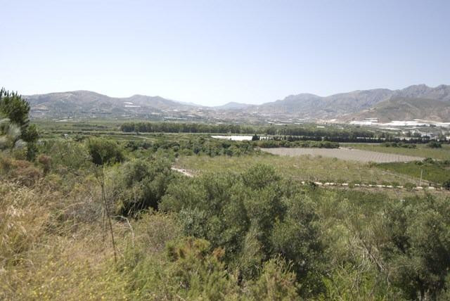 Finca Rústica en el Puntal de Jariz. - foto 3