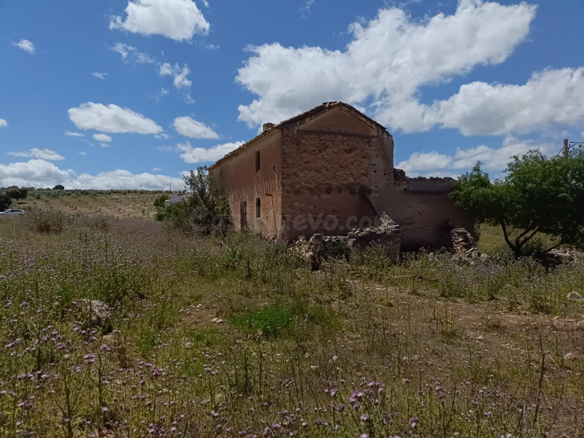 Exclusiva finca rústica en Salar – 18 fanegas de tierra calm