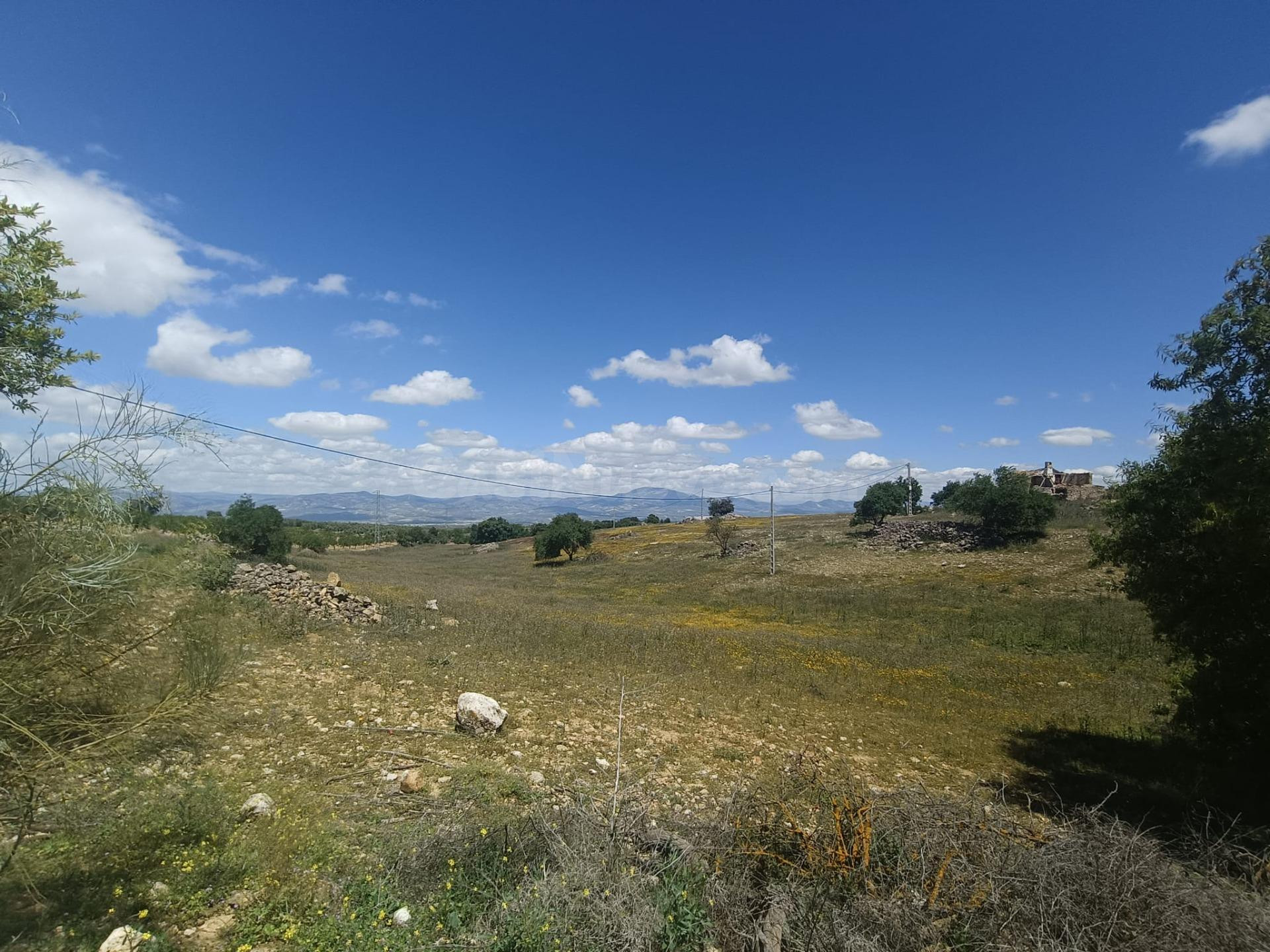 Exclusiva finca rústica en Salar – 18 fanegas de tierra calm - foto 3