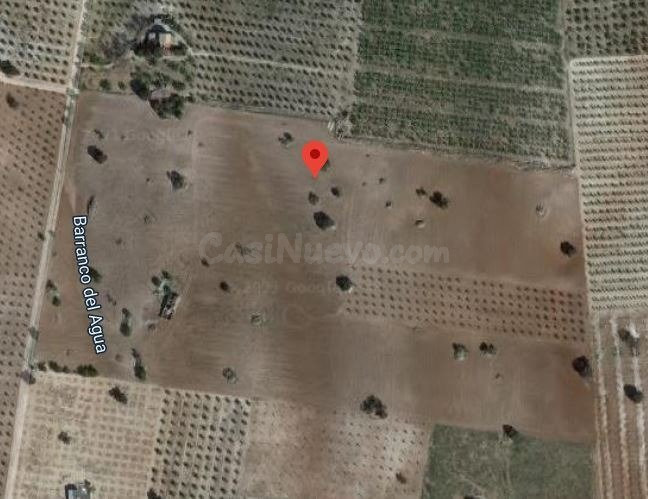 Exclusiva finca rústica en Salar – 18 fanegas de tierra calm - foto 4