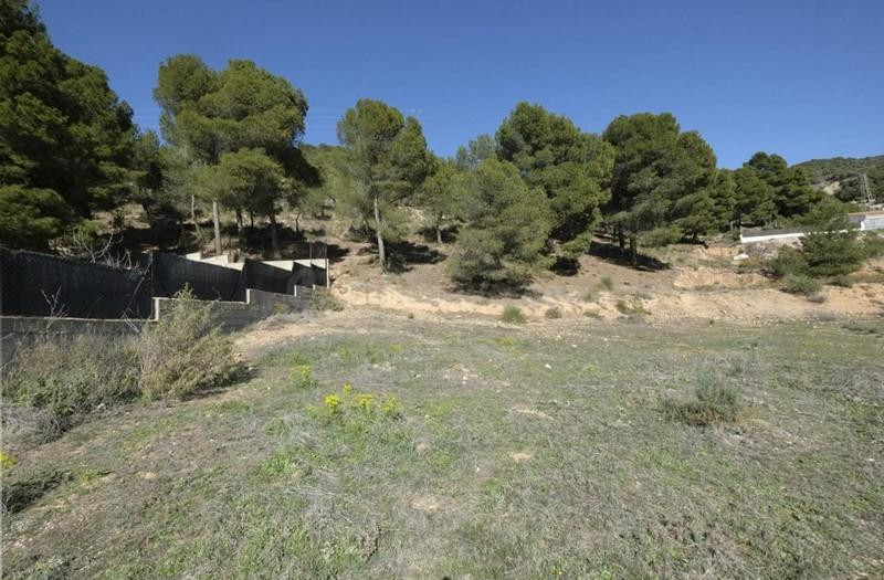 GRAN SOLAR EN EL PUNTAL