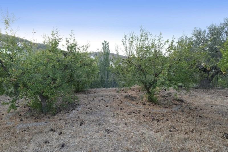 FINCA RÚSTICA EN CÓNCHAR