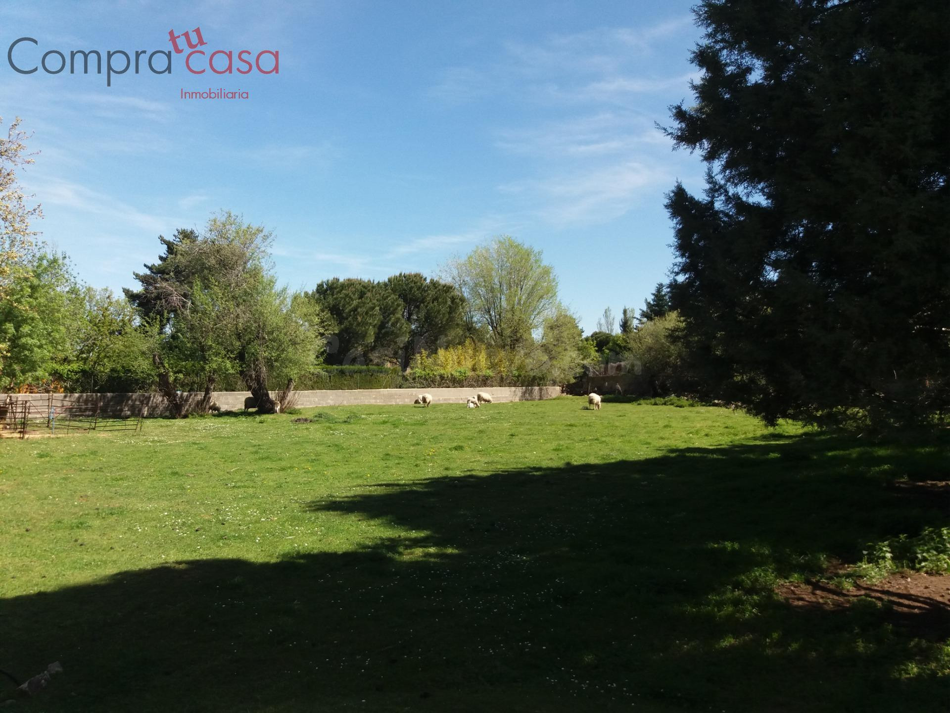 VENTA.-.PARCELA URBANA DE 1686 METROS.-.ORTIGOSA DEL MONTE - foto 2