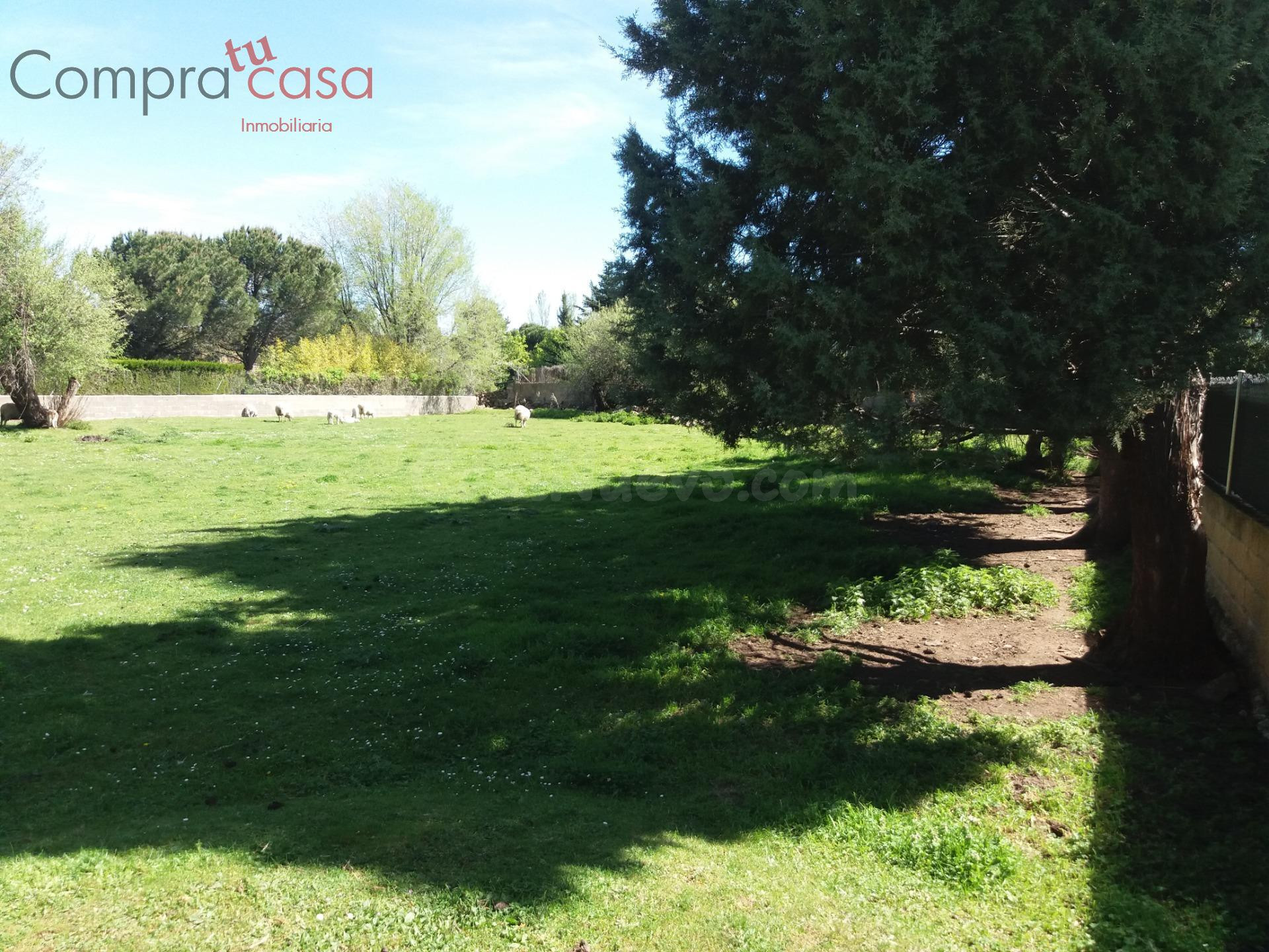VENTA.-.PARCELA URBANA DE 1686 METROS.-.ORTIGOSA DEL MONTE - foto 3
