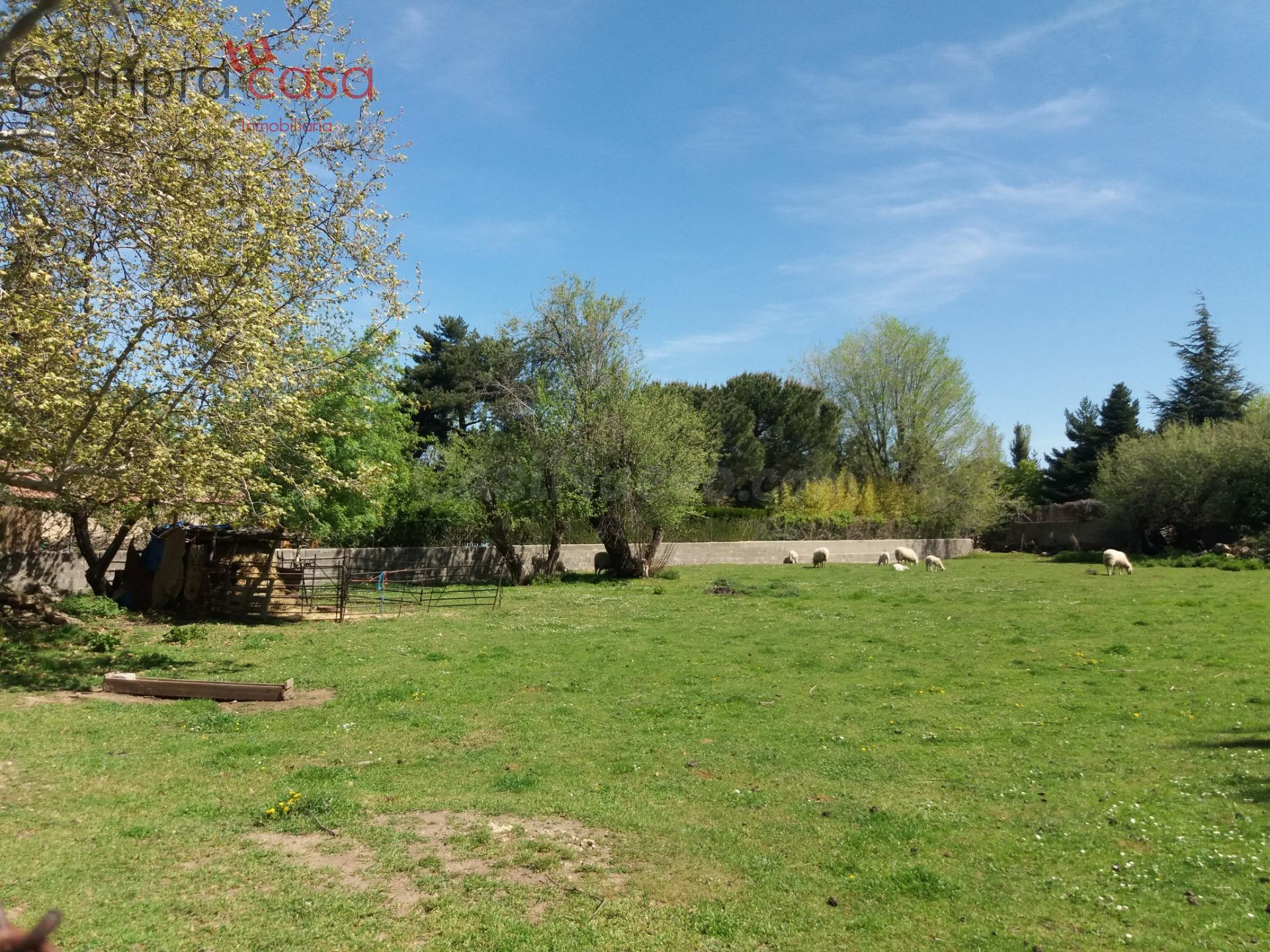 VENTA.-.PARCELA URBANA DE 1686 METROS.-.ORTIGOSA DEL MONTE - foto 4