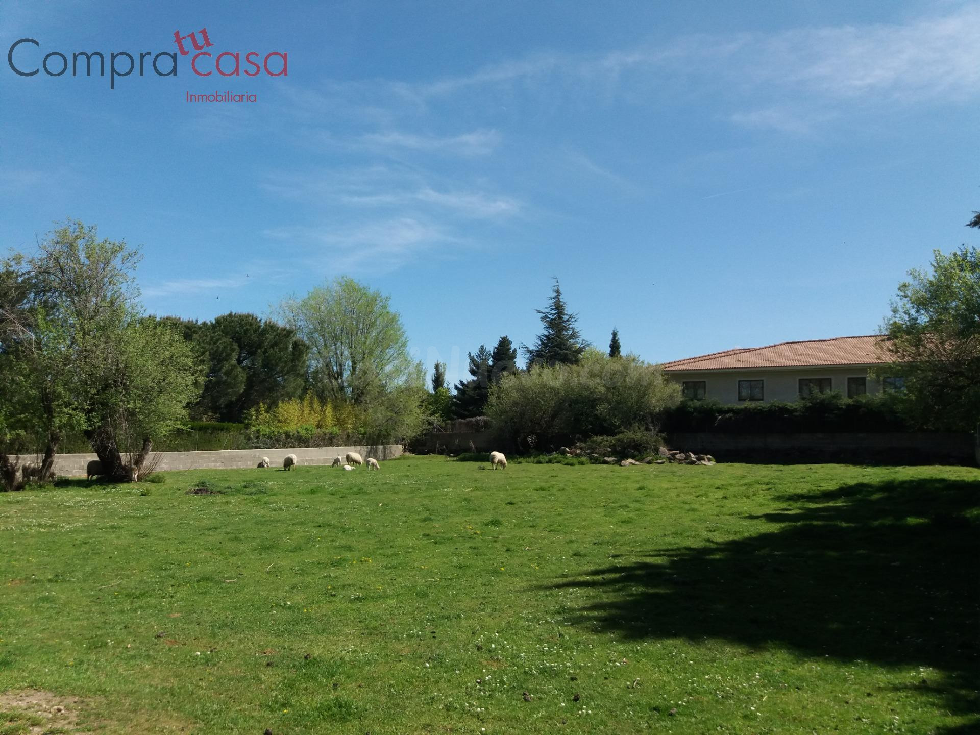 VENTA.-.PARCELA URBANA DE 1686 METROS.-.ORTIGOSA DEL MONTE - foto 5