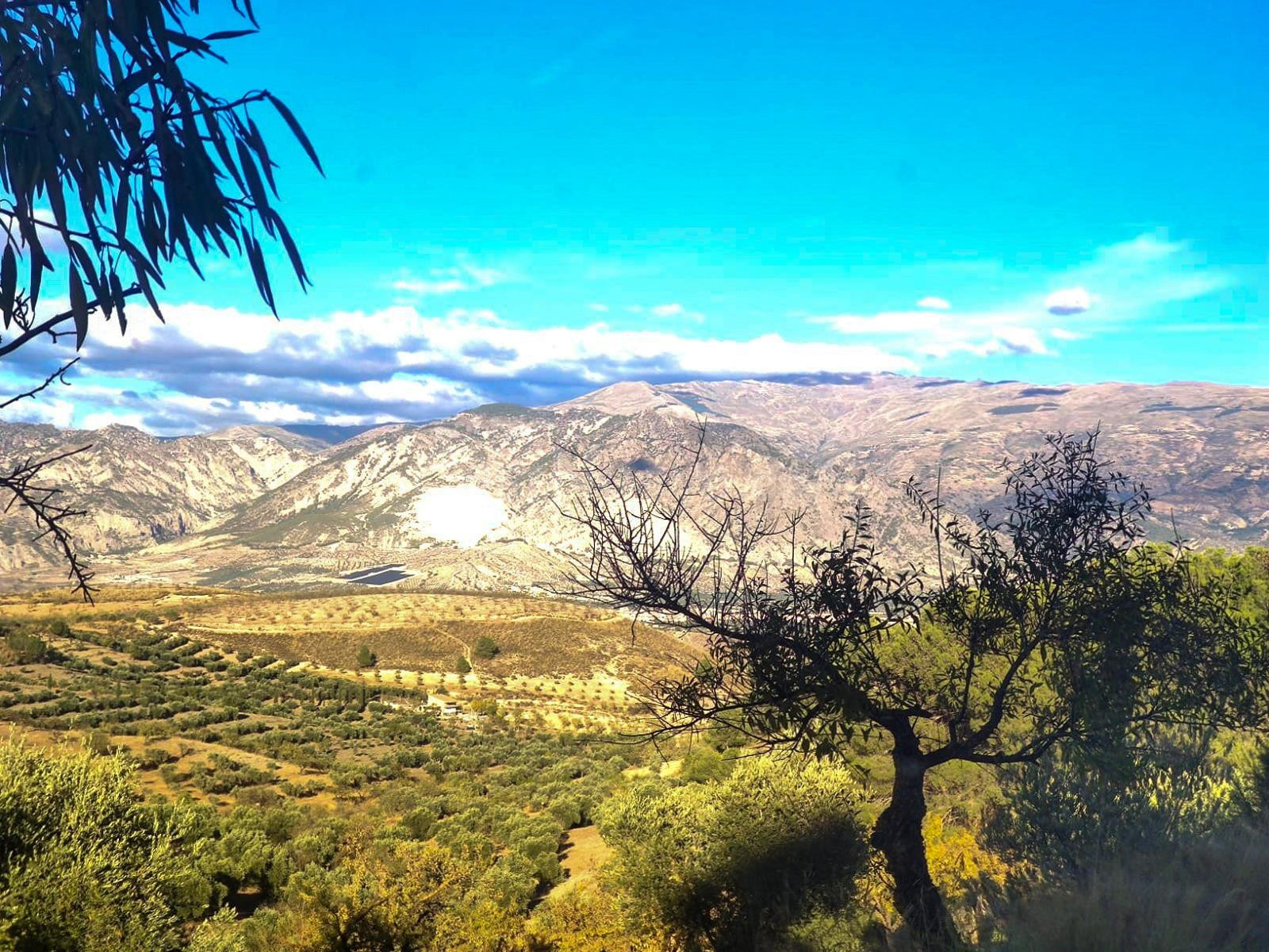 Finca Rústica en Albuñuelas, Granada.