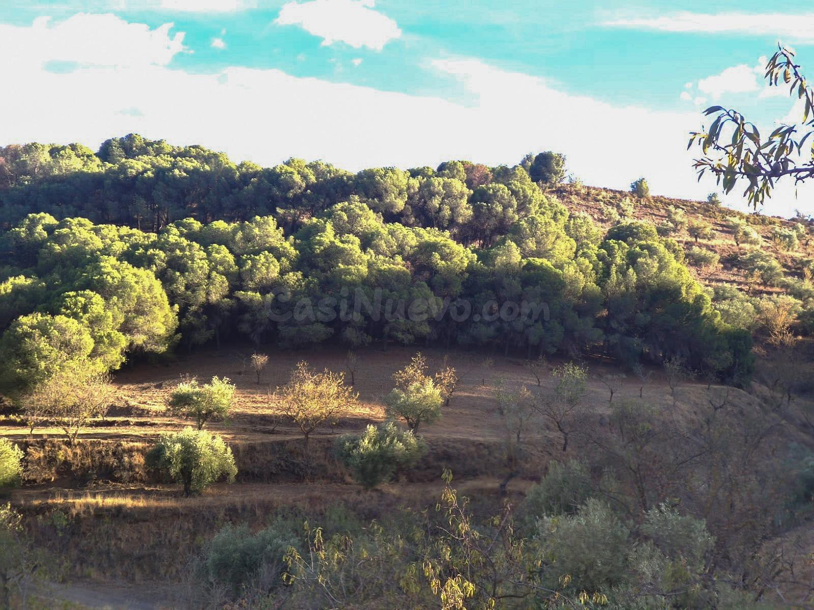 Finca Rústica en Albuñuelas, Granada. - foto 2