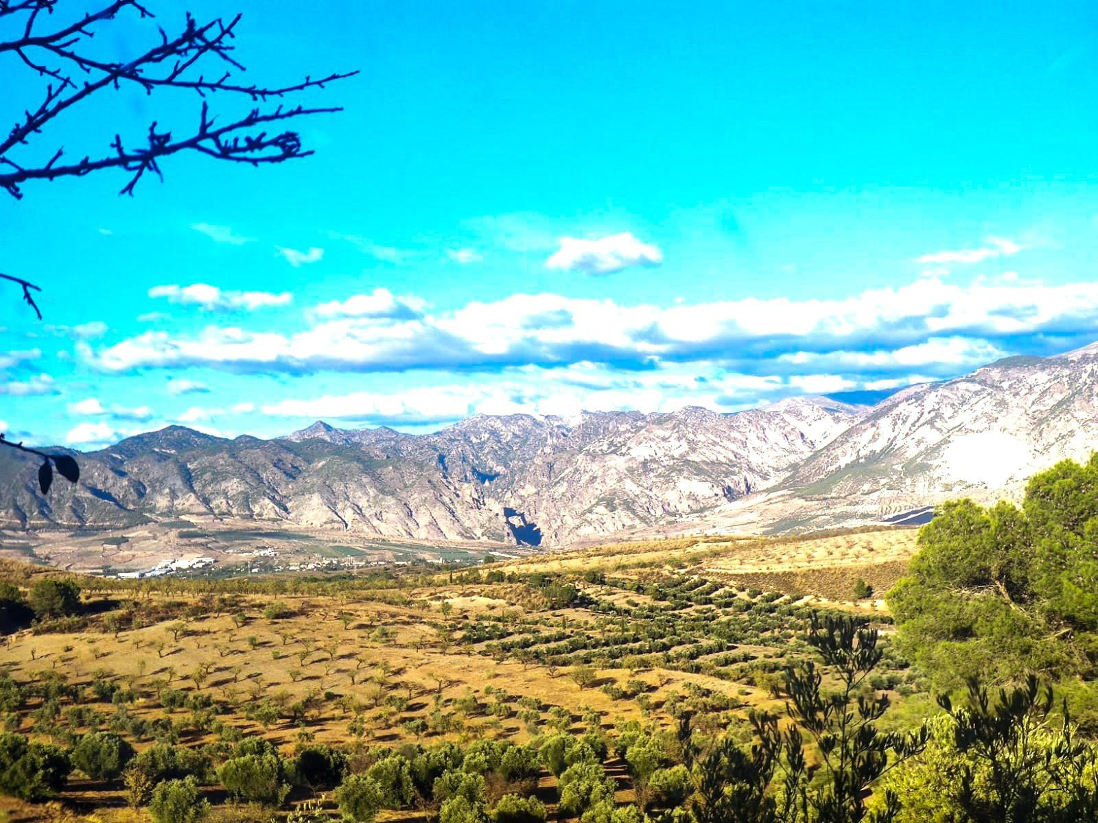 Finca Rústica en Albuñuelas, Granada. - foto 3