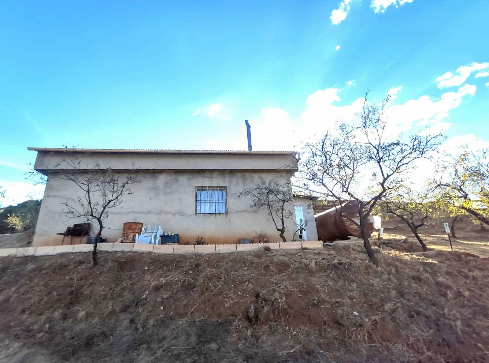 Finca Rústica en Albuñuelas, Granada. - foto 4