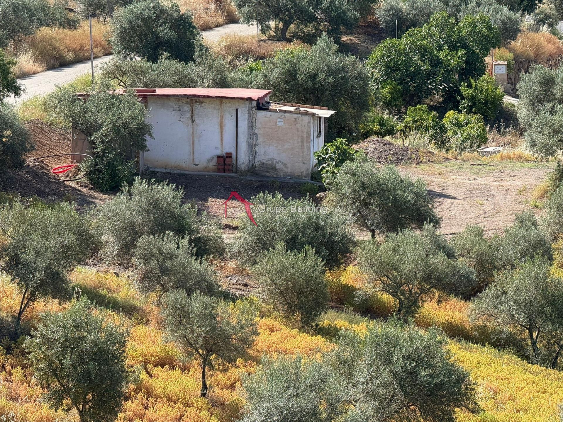 finca en pizarra 8000 metros
