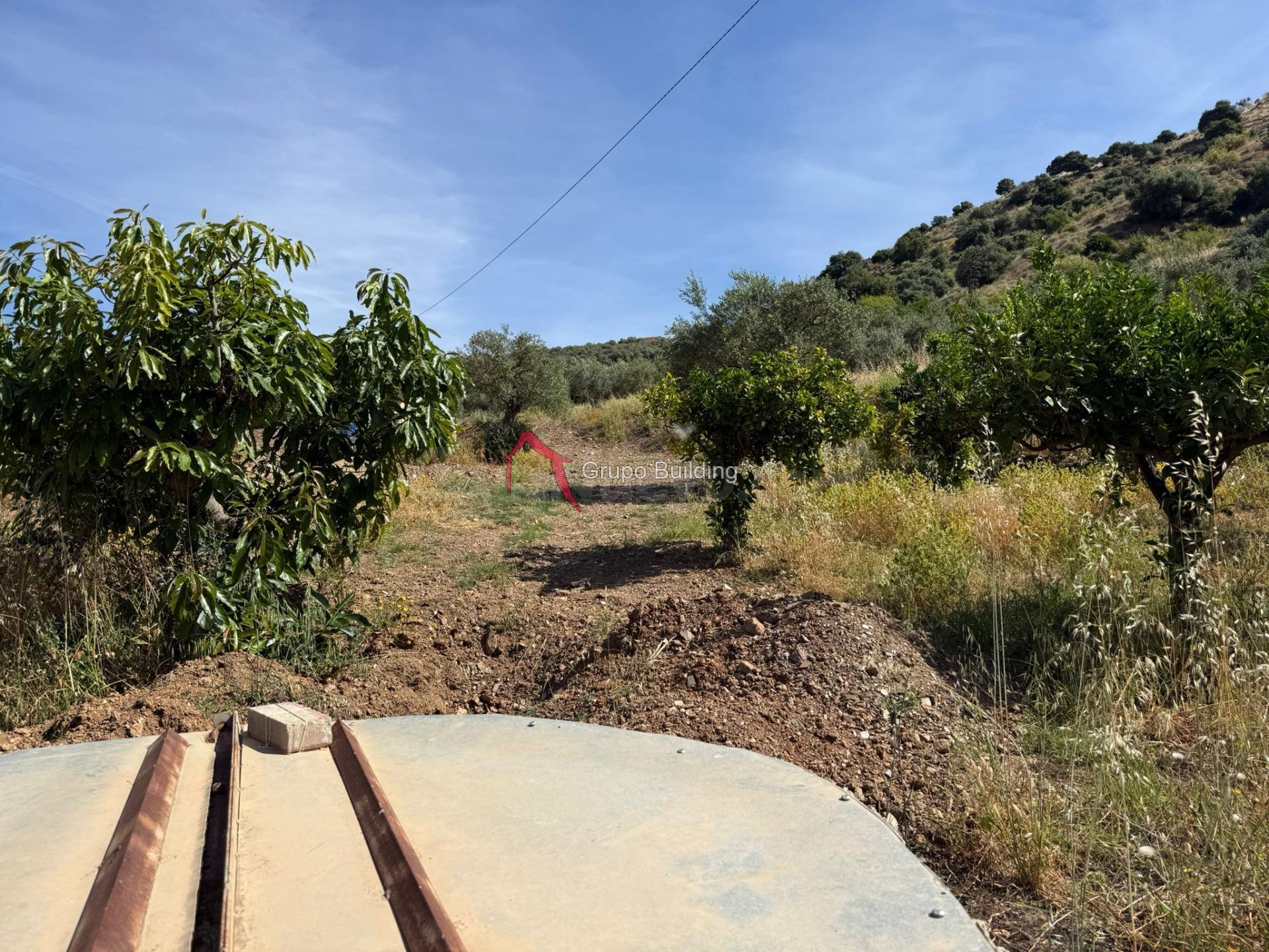 finca en pizarra 8000 metros - foto 3