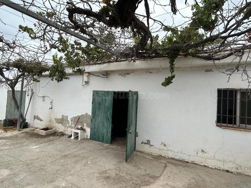 Finca con invernadero en la vega de Motril.
