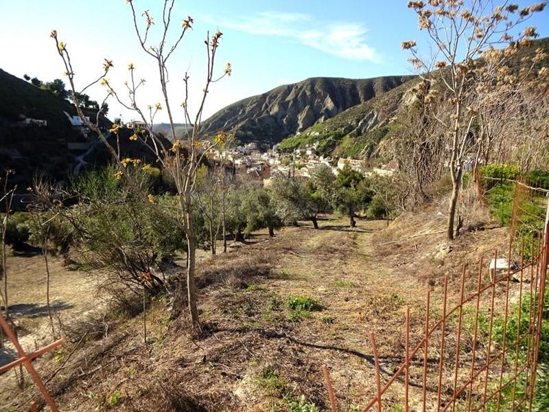 ¡OPORTUNIDAD DE MAGNIFICA PARCELA RUSTICA EN MONACHIL! - foto 2