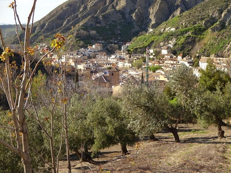 ¡OPORTUNIDAD DE MAGNIFICA PARCELA RUSTICA EN MONACHIL! - foto 3
