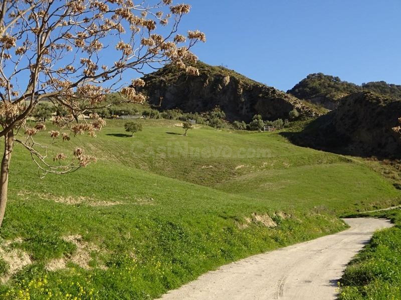 ¡OPORTUNIDAD DE MAGNIFICA PARCELA RUSTICA EN MONACHIL! - foto 4