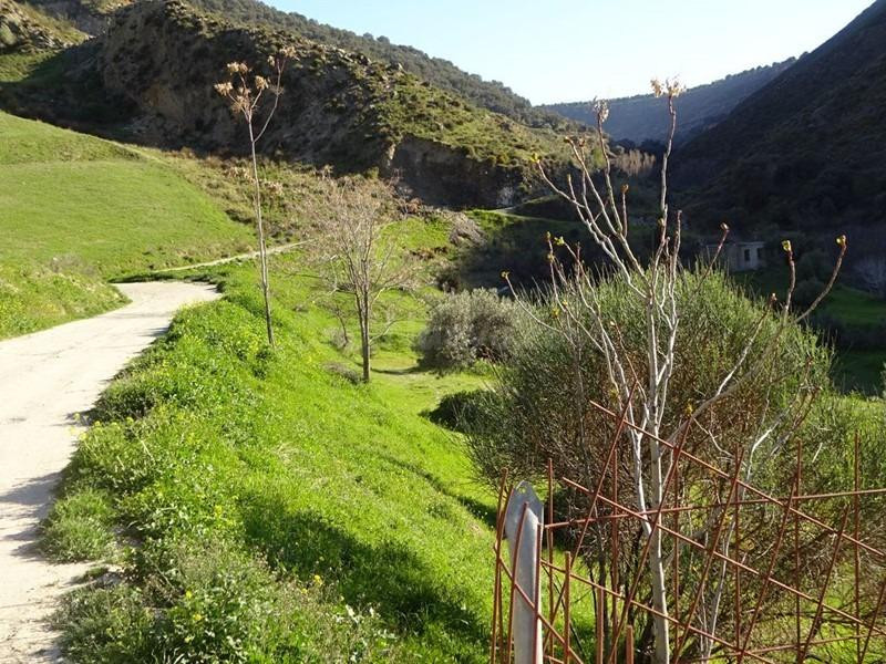 ¡OPORTUNIDAD DE MAGNIFICA PARCELA RUSTICA EN MONACHIL! - foto 5