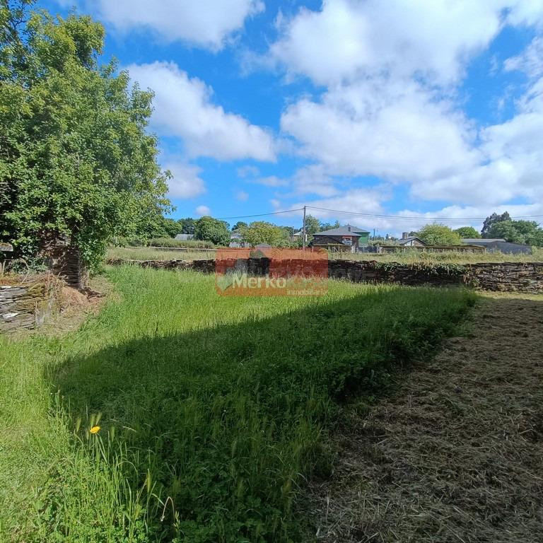 SE VENDE CASA DE PIEDRA CON FINCA EN MEILAN CON 2.000 M2 FIN - foto 4