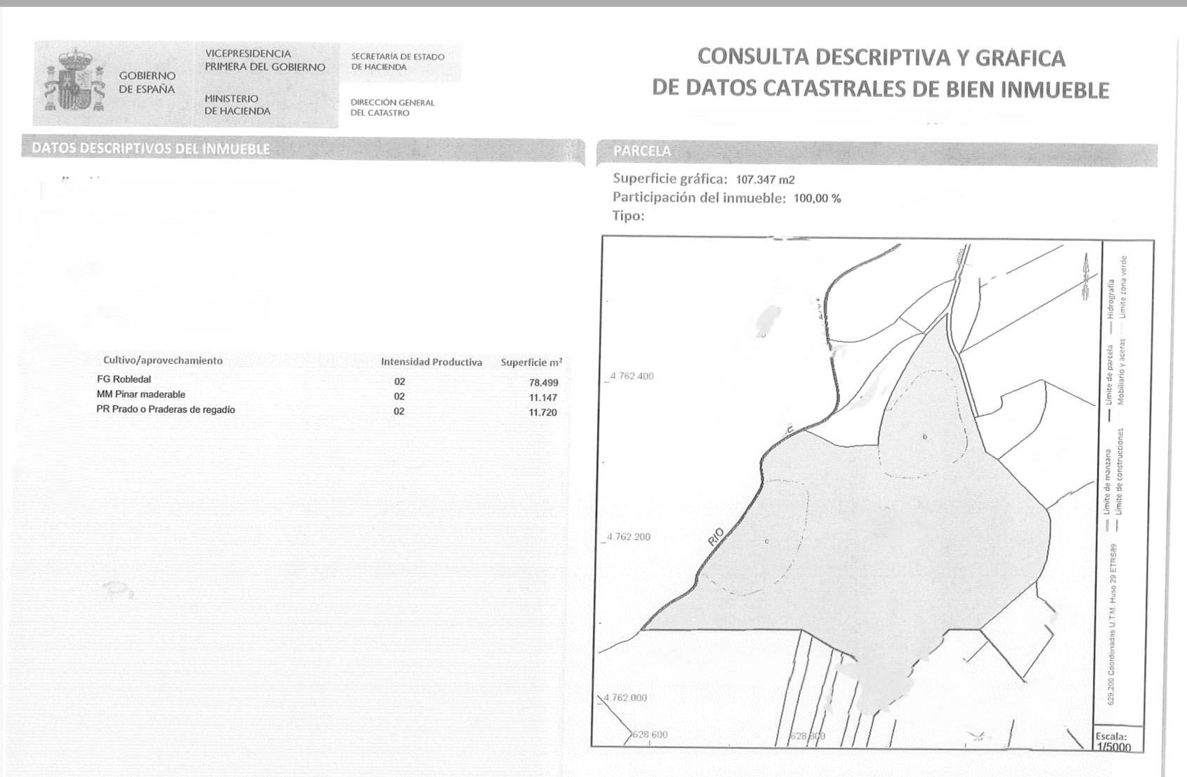 SE VENDE FINCA  CON ARBOLEDA EN  CASTROVERDE