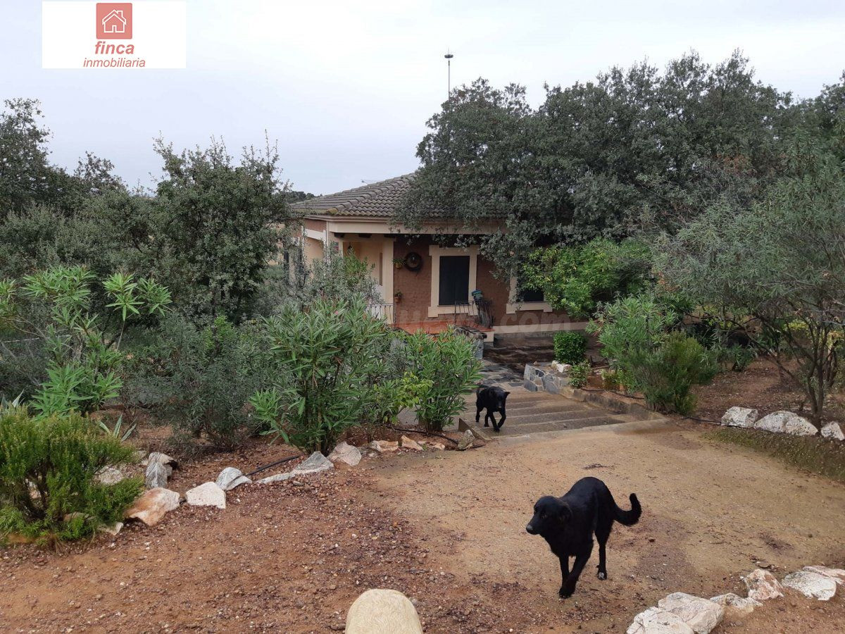CRTA MONTIJO-LA NAVA, CHALET LEGALIZADO RUSTICO 6HA OLIVOS,  - foto 5