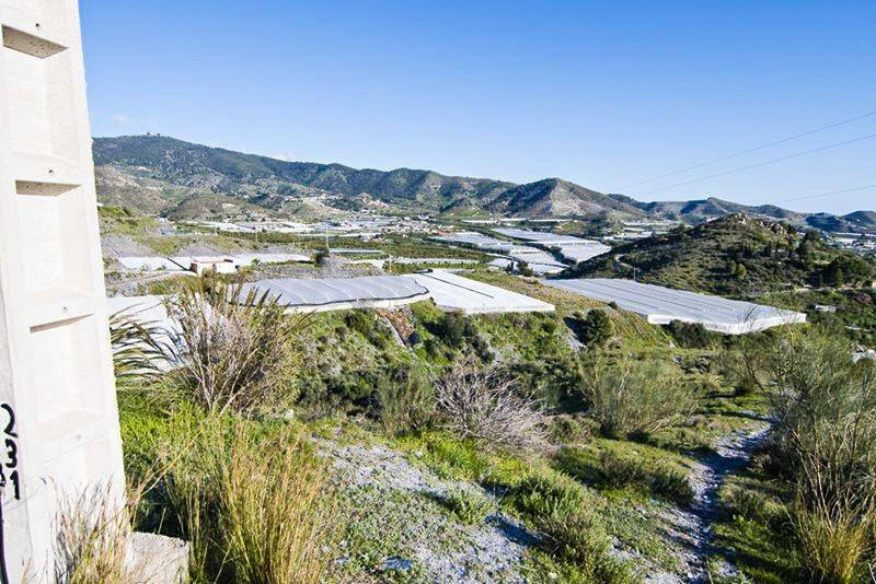 FINCA RÚSTICA EN MOTRIL, GRANADA - foto 3