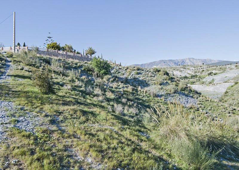 FINCA RÚSTICA EN MOTRIL, GRANADA - foto 5