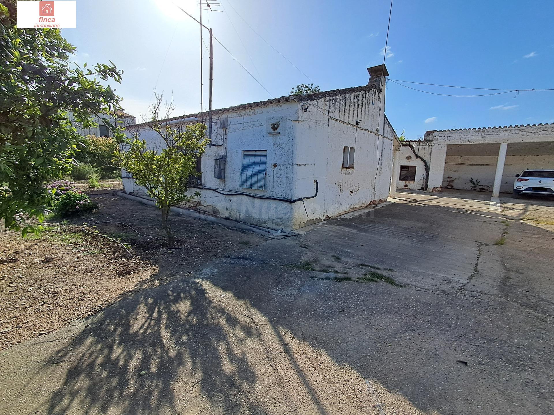 VENTA PARCELA DE COLONOS EN EL TERMINO DE VALDELACALZADA, CON LUZ Y AGUA, 3,7 HECTAREAS, CASA, CUADRAS PARA REFORMAR - foto 2