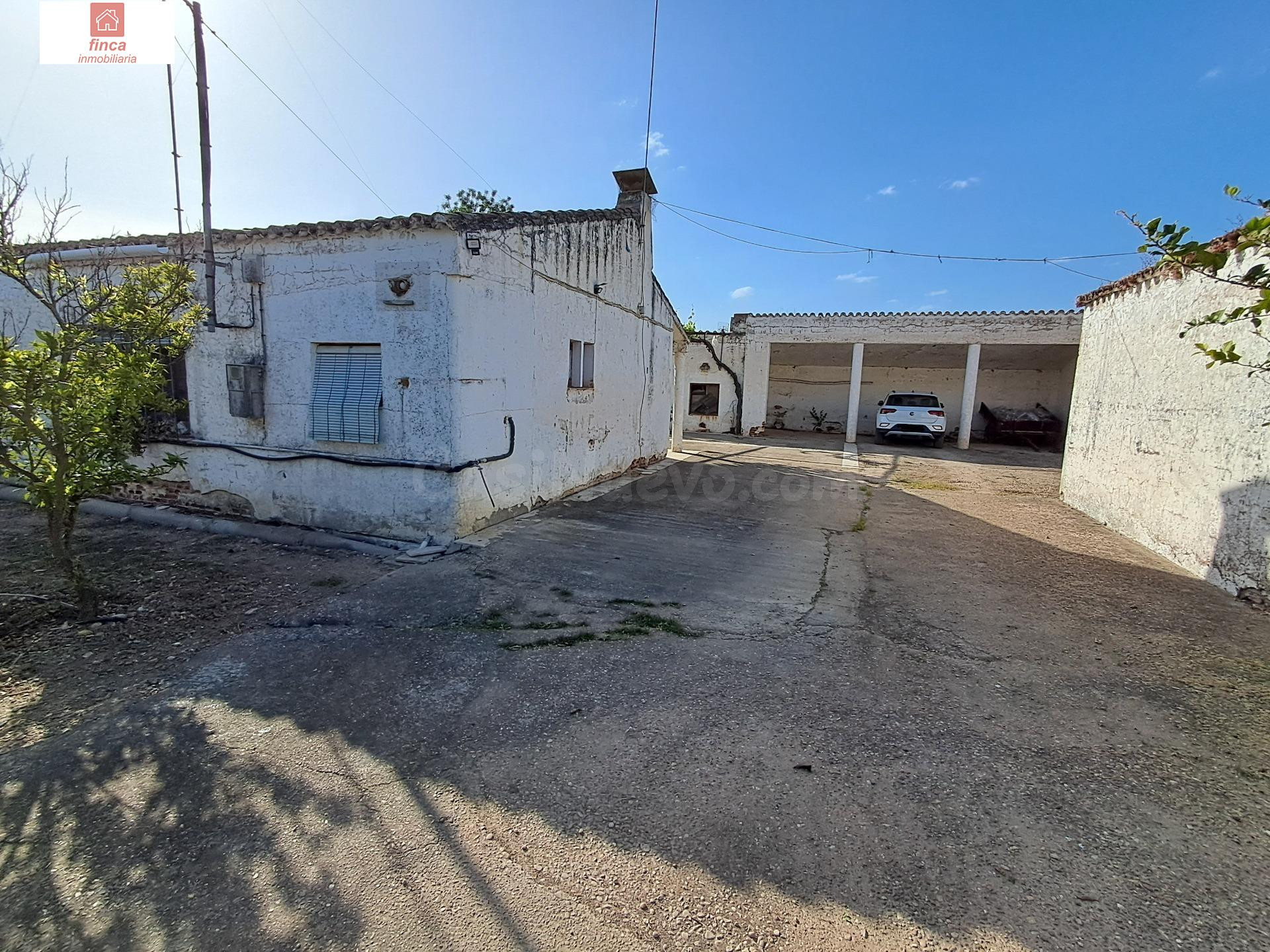 VENTA PARCELA DE COLONOS EN EL TERMINO DE VALDELACALZADA, CON LUZ Y AGUA, 3,7 HECTAREAS, CASA, CUADRAS PARA REFORMAR - foto 3