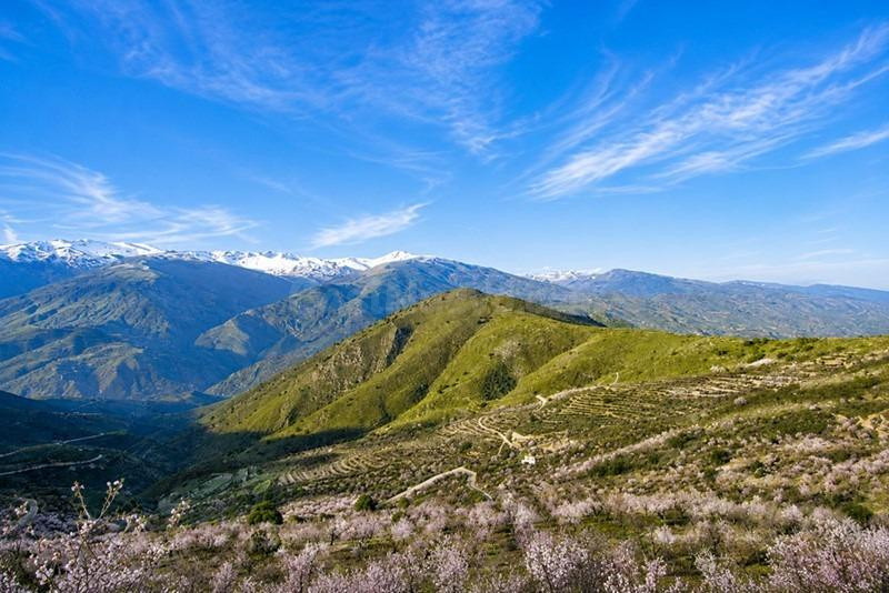 Magnífica finca rústica de 243 hectáreas en Órgiva, Granada - foto 2