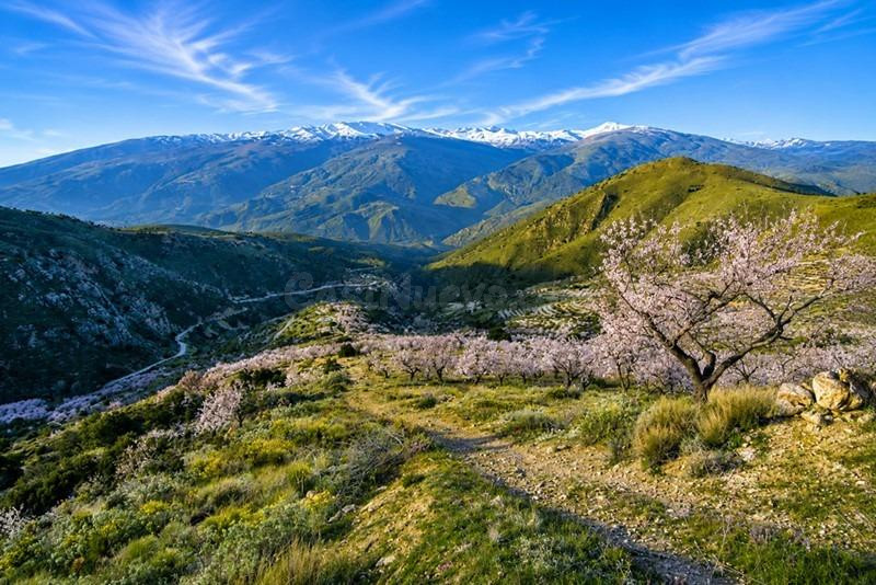 Magnífica finca rústica de 243 hectáreas en Órgiva, Granada - foto 3