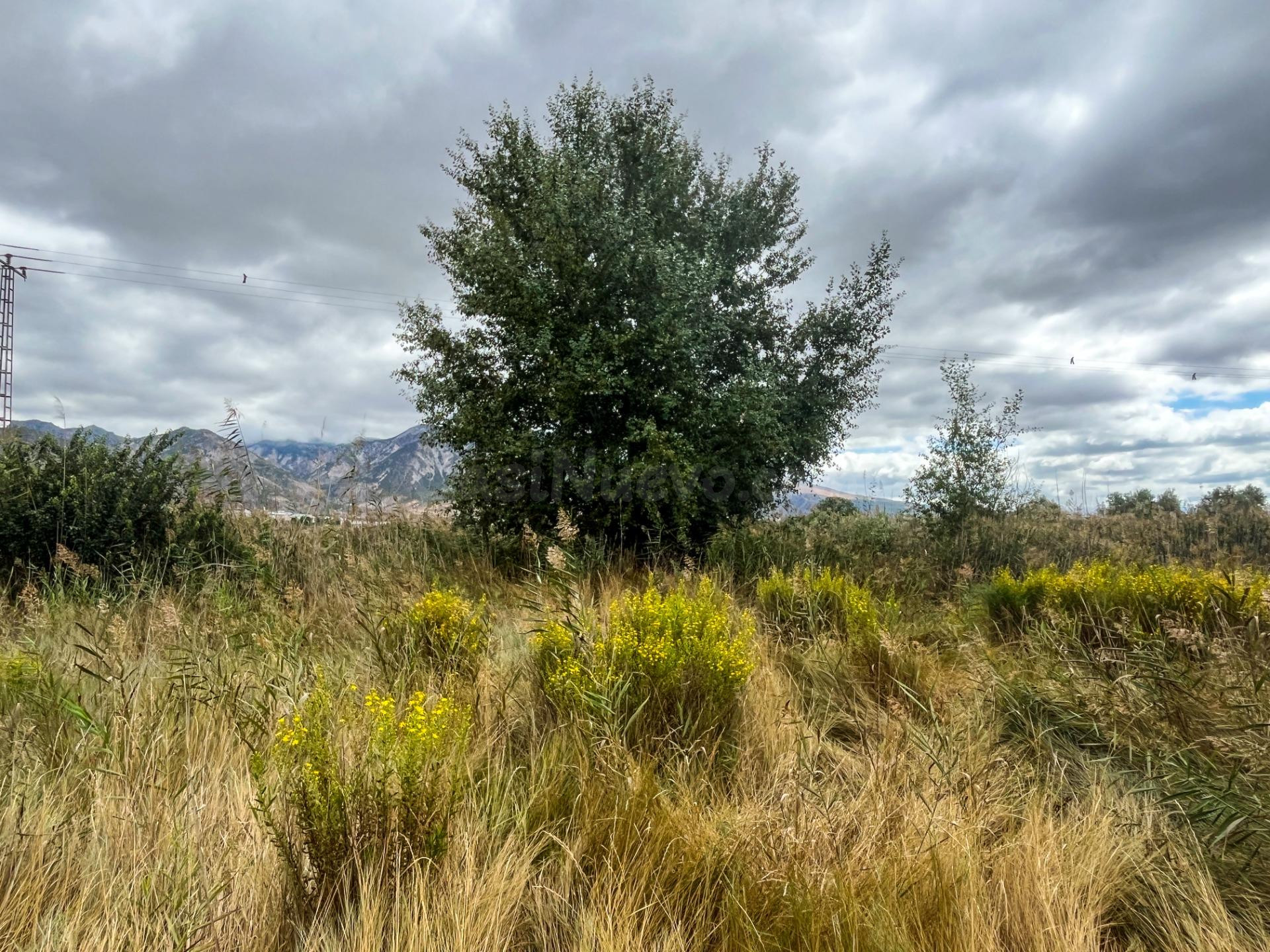FINCA DE REGADIO EN LA ZONA DE LA ACEQUIA MADRE MAESTRA, PAD - foto 2