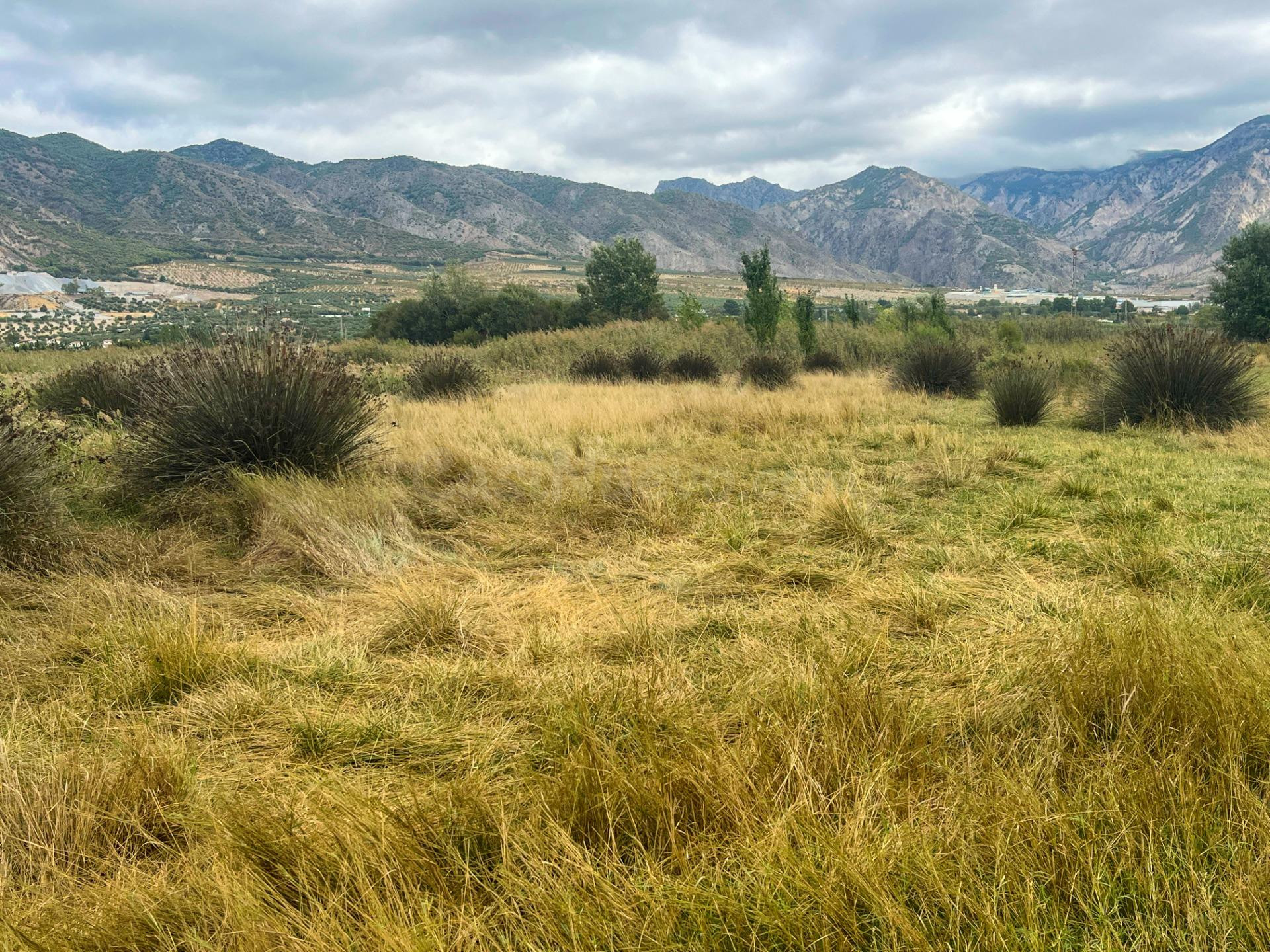 FINCA DE REGADIO EN LA ZONA DE LA ACEQUIA MADRE MAESTRA, PAD - foto 3