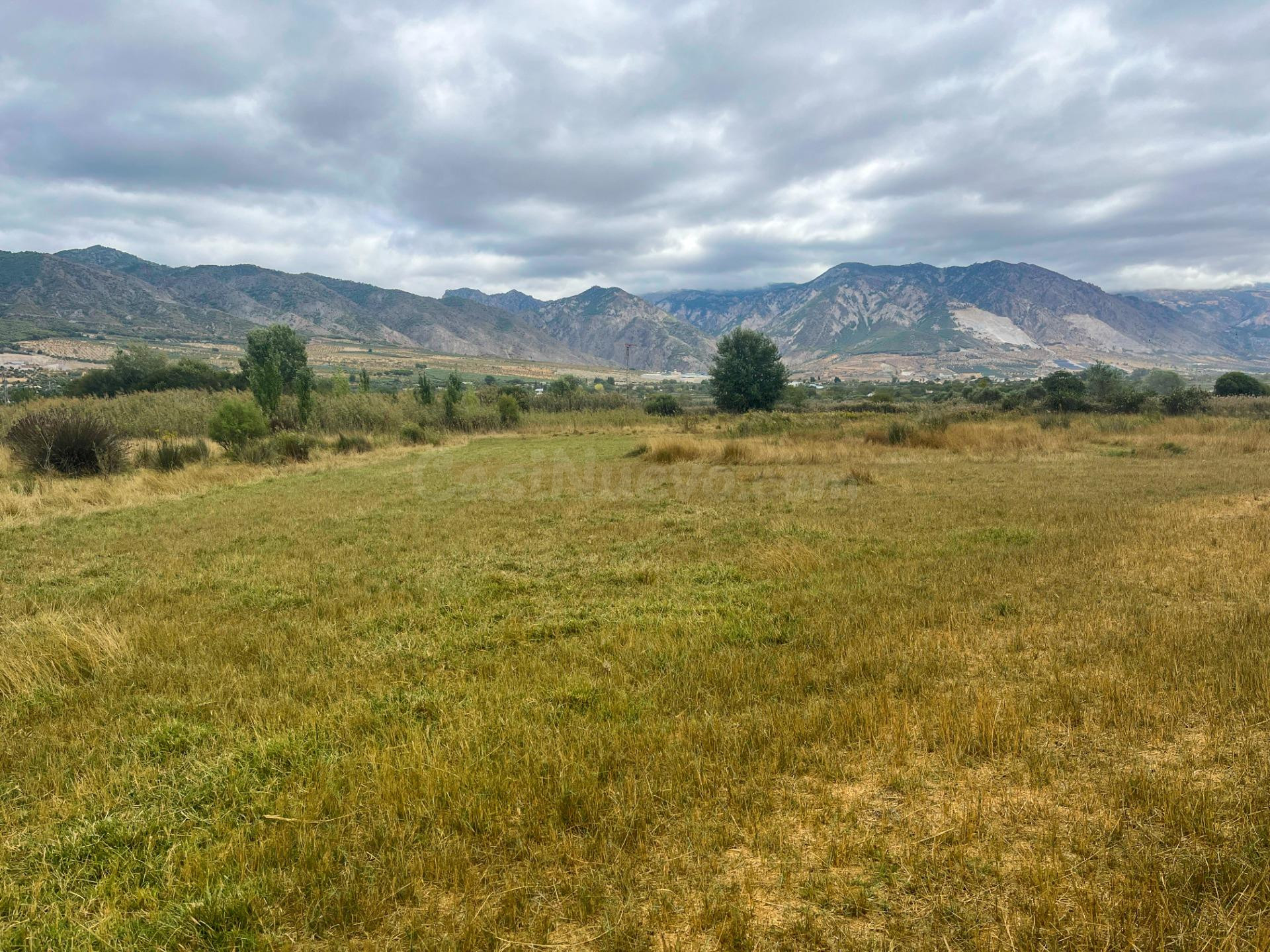 FINCA DE REGADIO EN LA ZONA DE LA ACEQUIA MADRE MAESTRA, PAD - foto 4