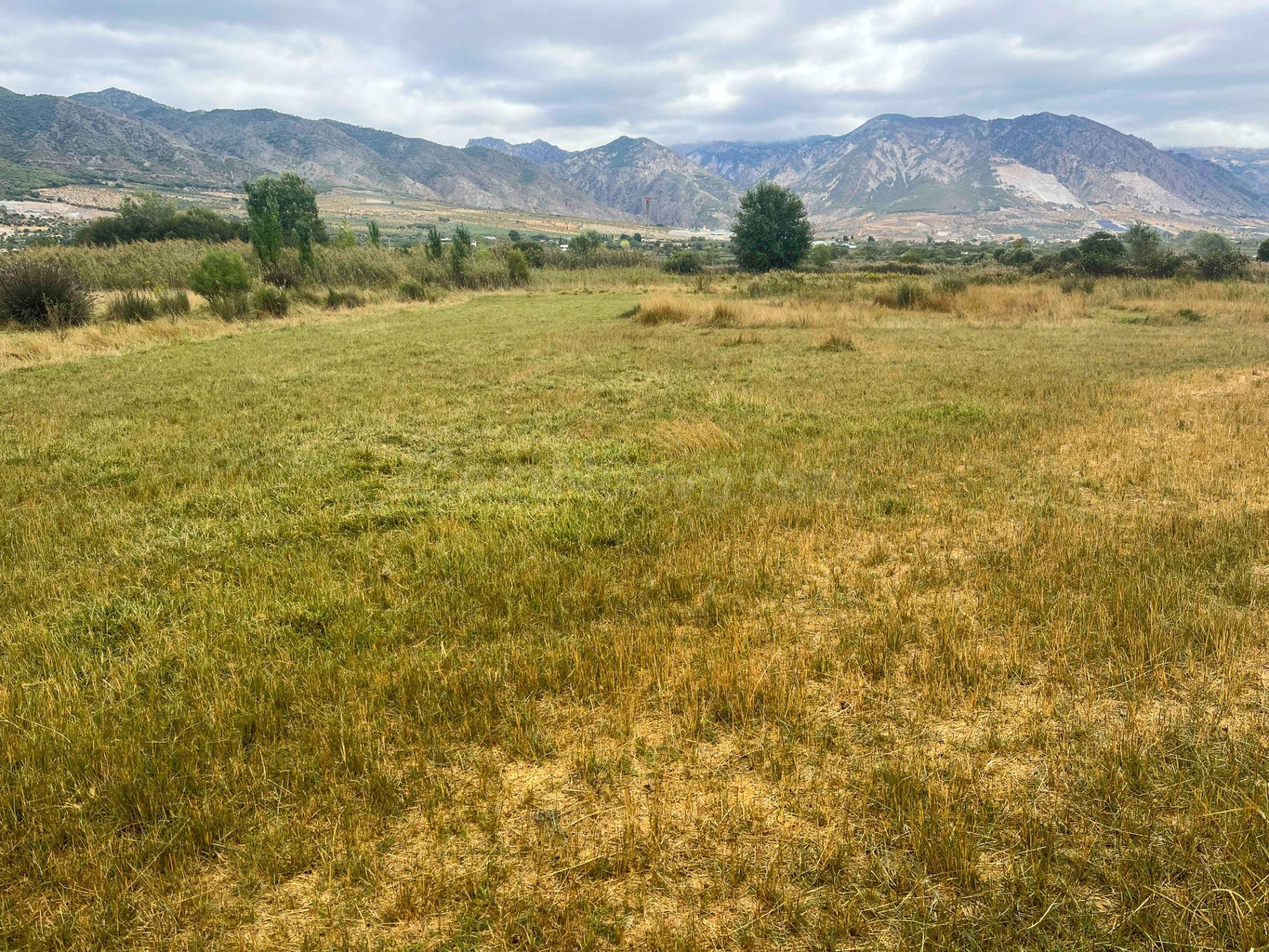 FINCA DE REGADIO EN LA ZONA DE LA ACEQUIA MADRE MAESTRA, PAD - foto 5