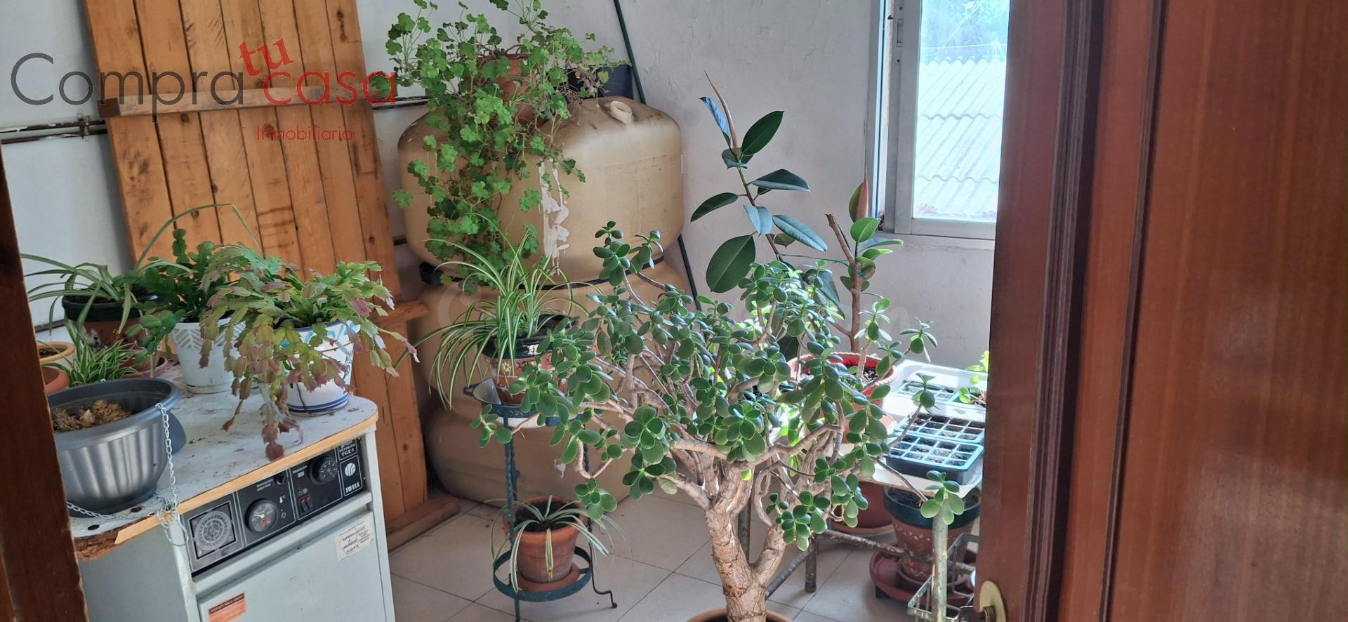 VENTA PISO CON GRAN PATIO.-.VILLACASTIN. - foto 4